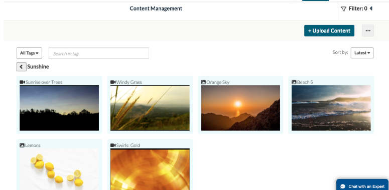 How To Access Content Management (Raydiant Engage)